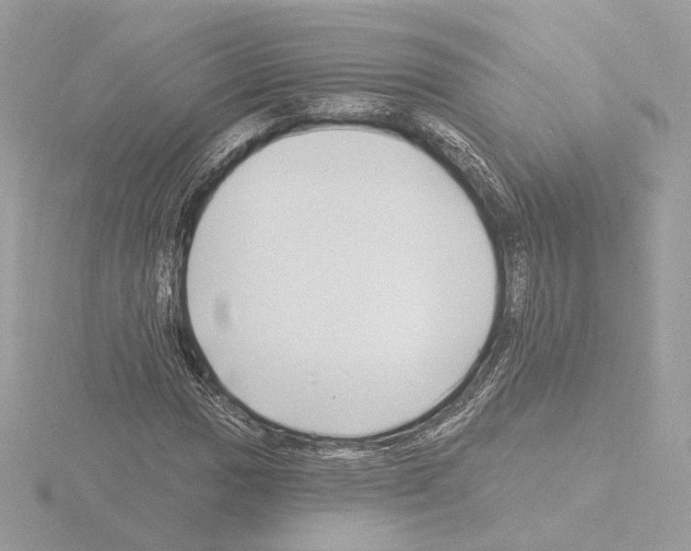 X0000115521017200912181502