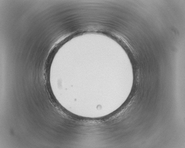 X0000115521018200912181502