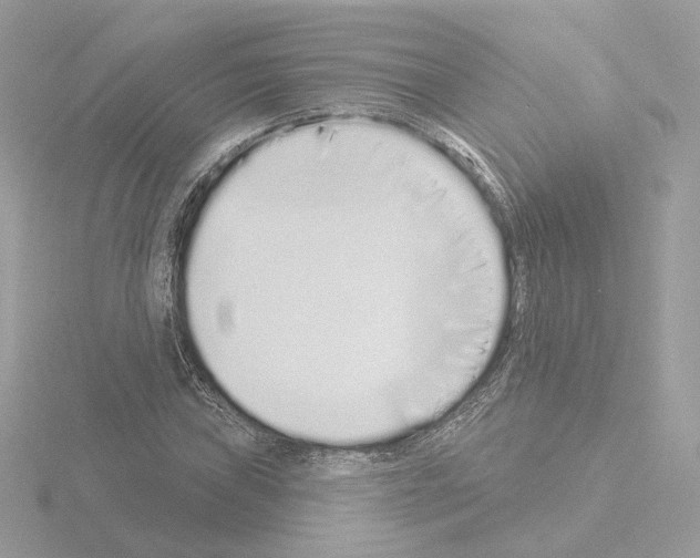 X0000115521019200912181502