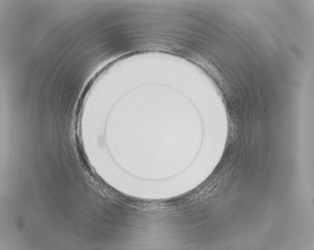 X0000115521020200912181502