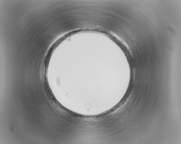 X0000115521021200912181502