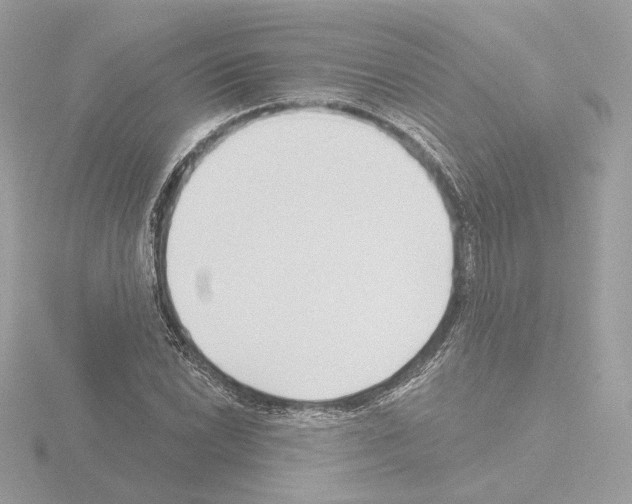 X0000115521022200912181502