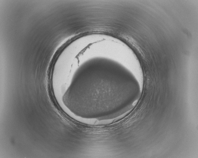 X0000115521024200912181502