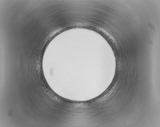 X0000115521025200912181502