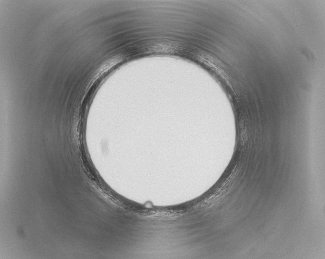 X0000115521026200912181502