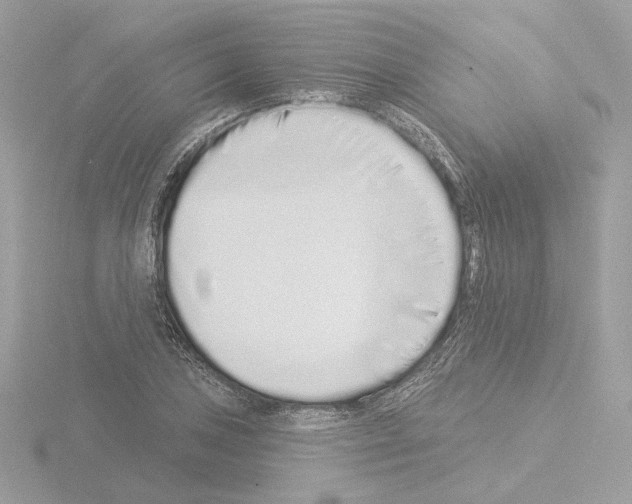 X0000115521027200912181502