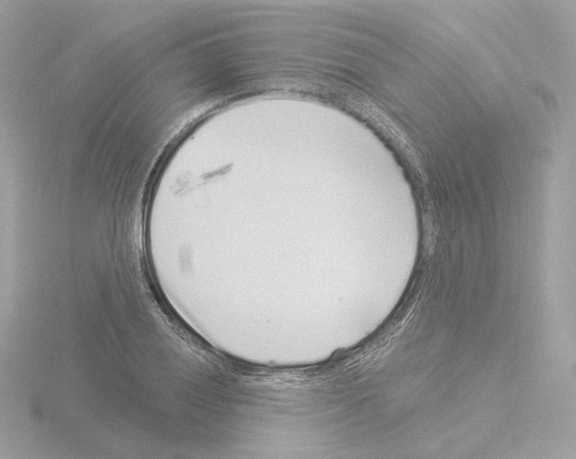 X0000115521028200912181502