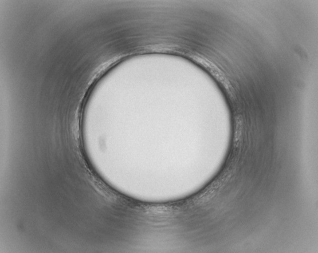 X0000115521031200912181502