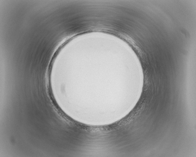 X0000115521032200912181502