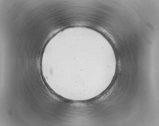 X0000115521033200912181502