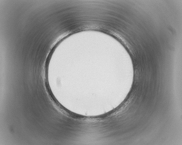 X0000115521034200912181502