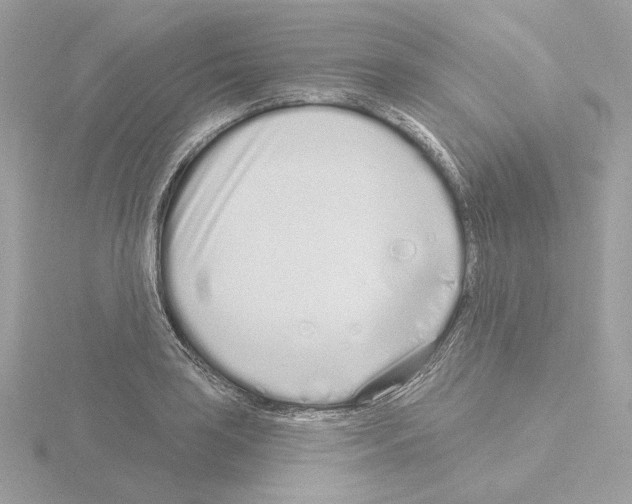 X0000115521035200912181502