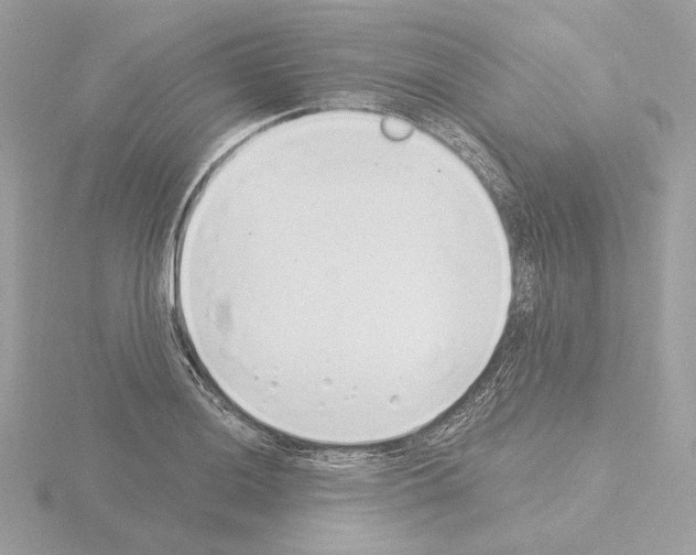 X0000115521036200912181502