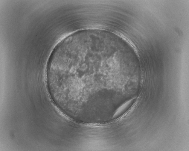 X0000115521037200912181502