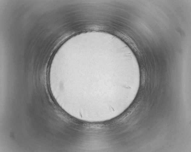 X0000115521039200912181502