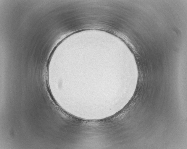 X0000115521040200912181502