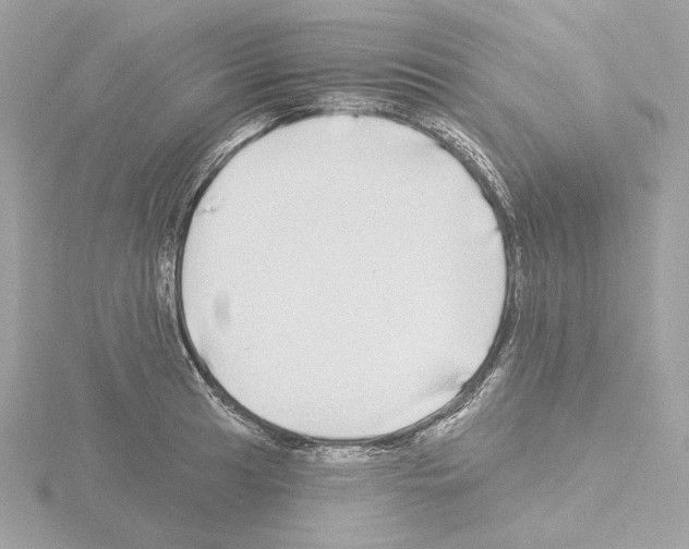 X0000115521041200912181502