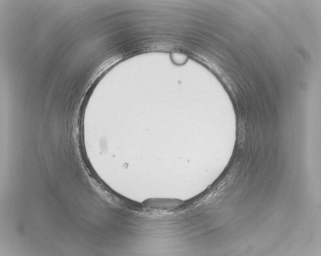 X0000115521042200912181502