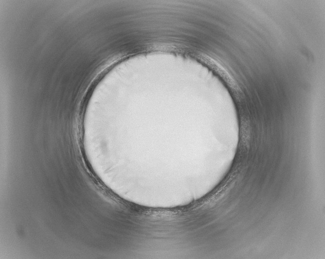 X0000115521043200912181502