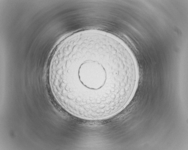 X0000115521044200912181502