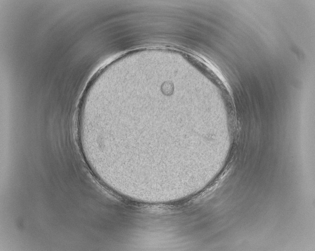 X0000115521045200912181502