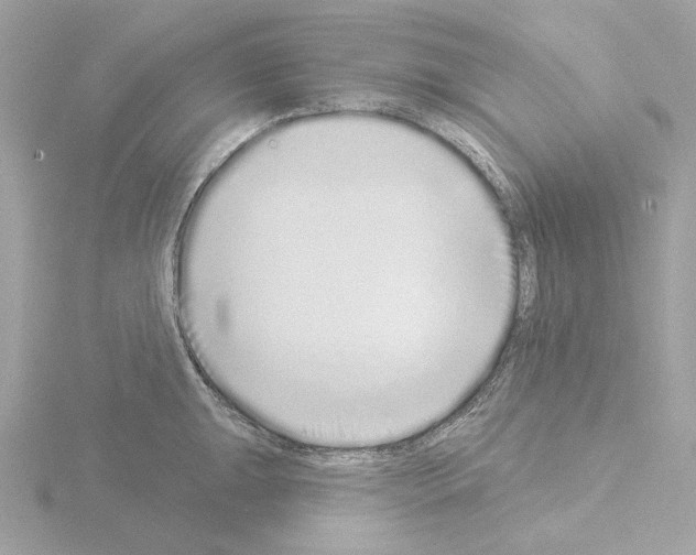 X0000115521047200912181502