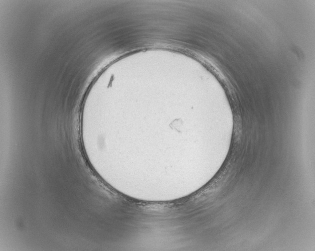 X0000115521048200912181502