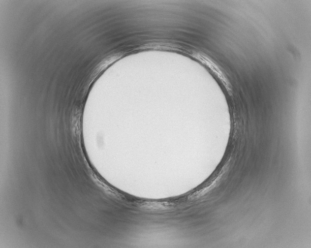 X0000115521049200912181502