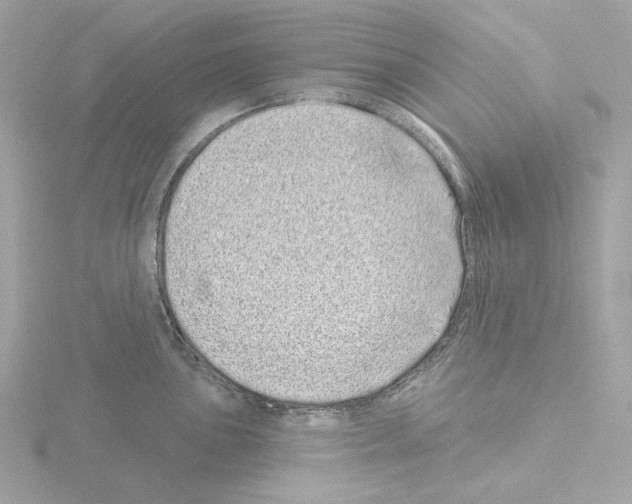 X0000115521051200912181502