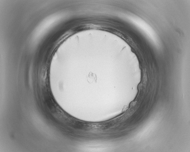 X0000115521052200912181502