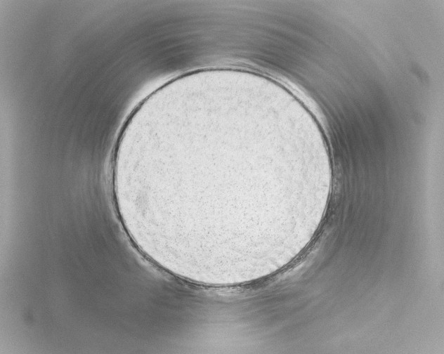 X0000115521053200912181502