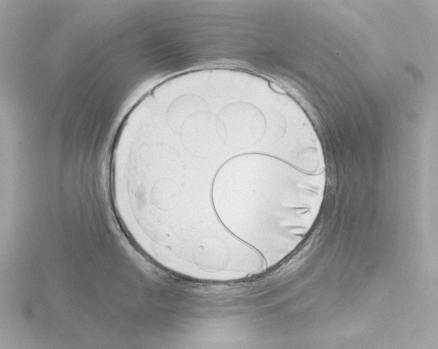 X0000115521054200912181502