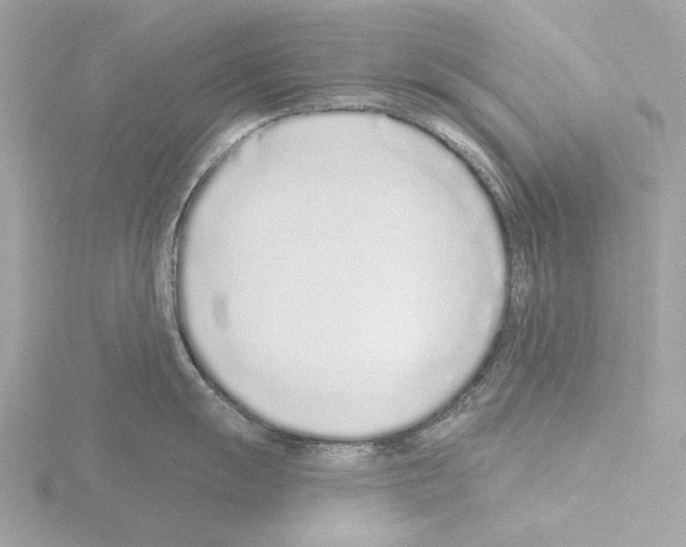 X0000115521055200912181502