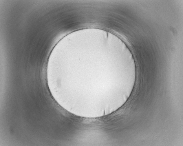 X0000115521056200912181502