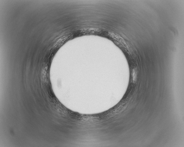 X0000115521059200912181502