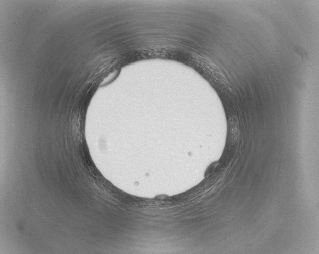 X0000115521060200912181502