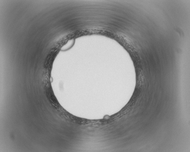 X0000115521062200912181502