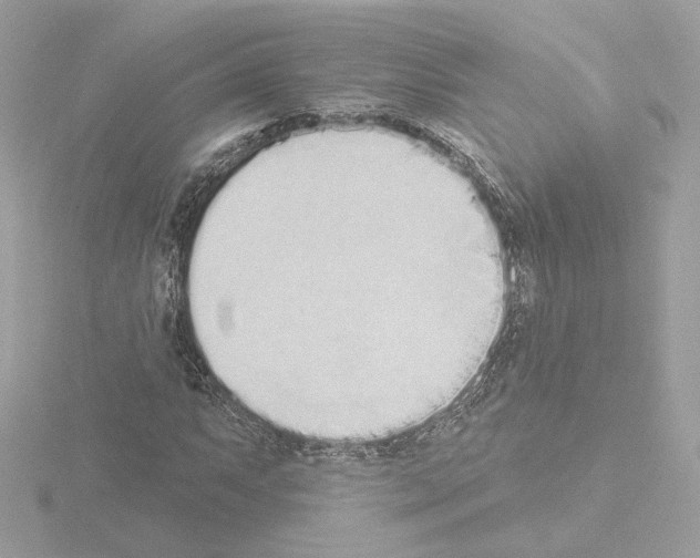 X0000115521063200912181502