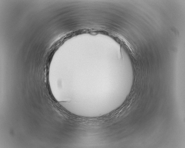 X0000115521064200912181502