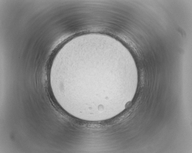 X0000115521070200912181502