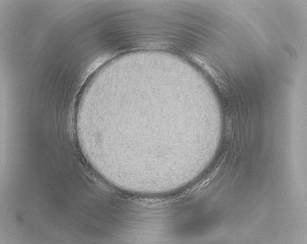 X0000115521071200912181502