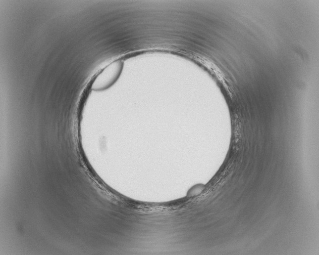 X0000115521072200912181502