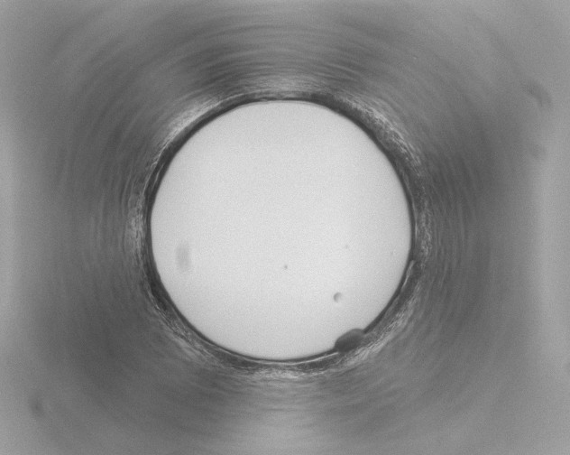 X0000115521073200912181502