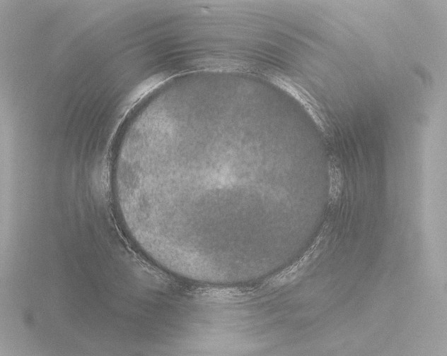 X0000115521074200912181502