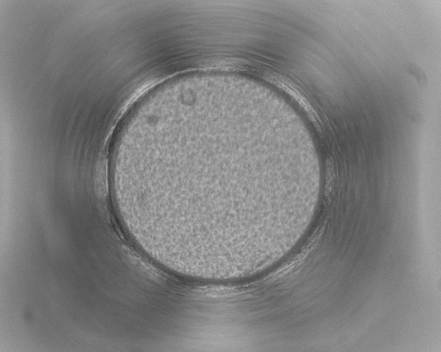 X0000115521075200912181502