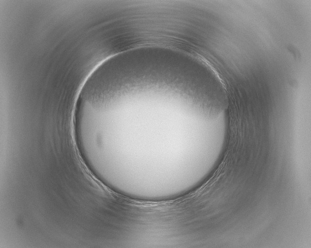 X0000115521076200912181502