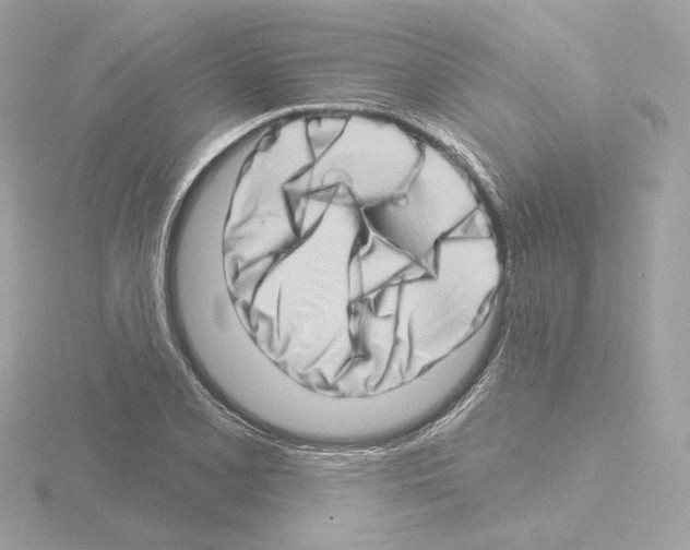 X0000115521077200912181502