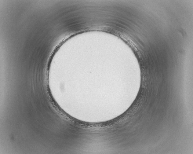 X0000115521080200912181501