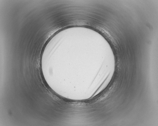 X0000115521081200912181501