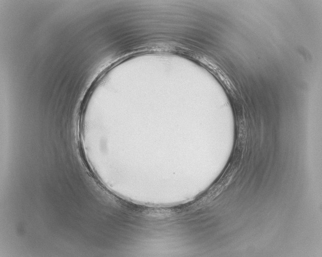 X0000115521083200912181501